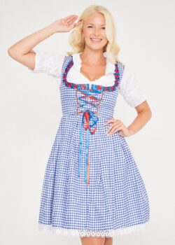 Midi Blue Checkered Dirndl With Red Apron_ Front Close View
