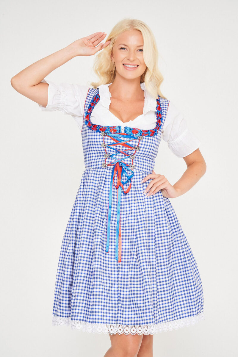 Midi Blue Checkered Dirndl With Red Apron_ Front Close View