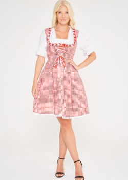 Midi Checkered Dirndl Elsa Rose Red_ Front View