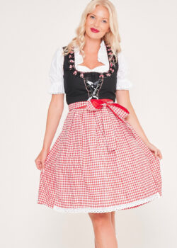 German Dirndl Dress Amara Black Pink_ Close Apron Pick View