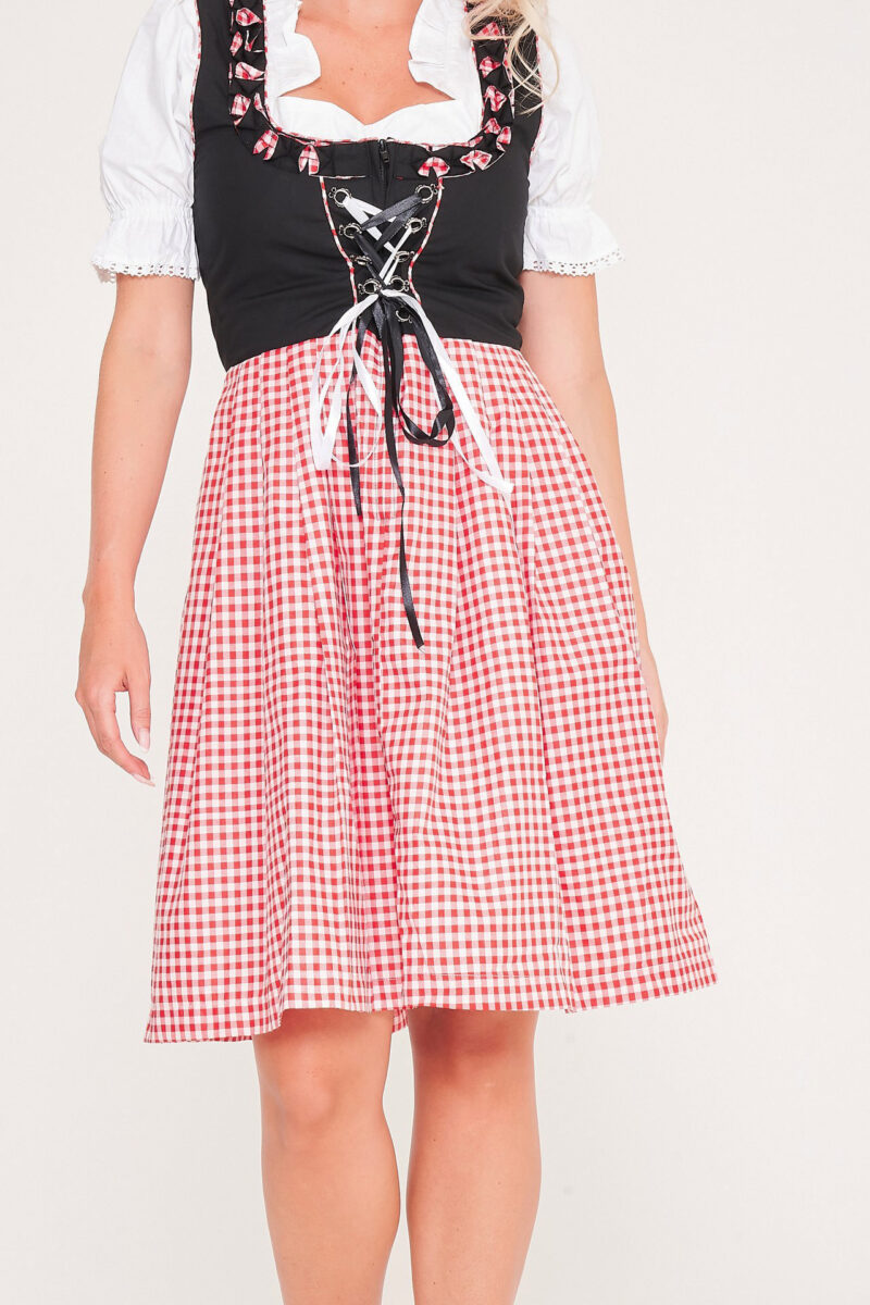 German Dirndl Dress Amara Black Pink_ Only Close View