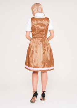 Midi Golden Dirndl With Multicolor Apron_ Full Back Pose View