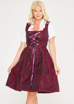 Midi Red Dirndl From Alpentrachten_ Close View Pose