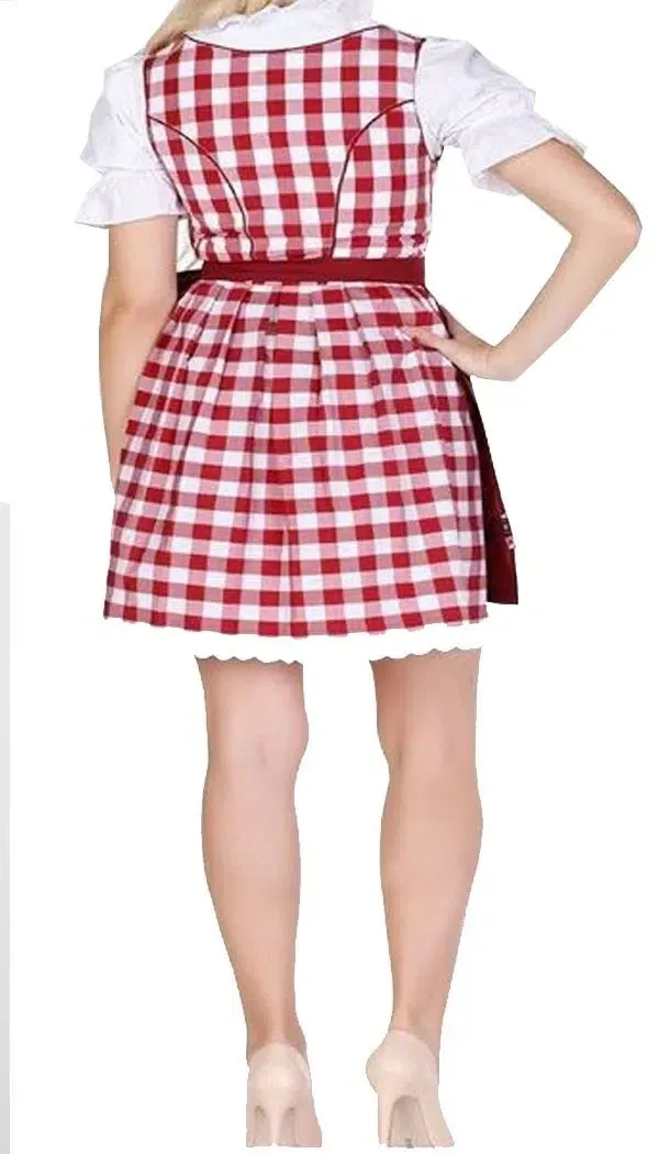Rear view of woman in red and white checkered Dirndl dress with white blouse. - Lederhosen For Sale
